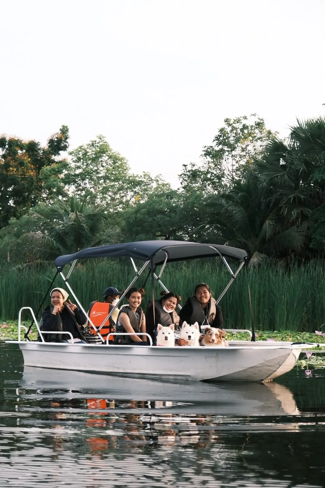 Mazecape pets image 2