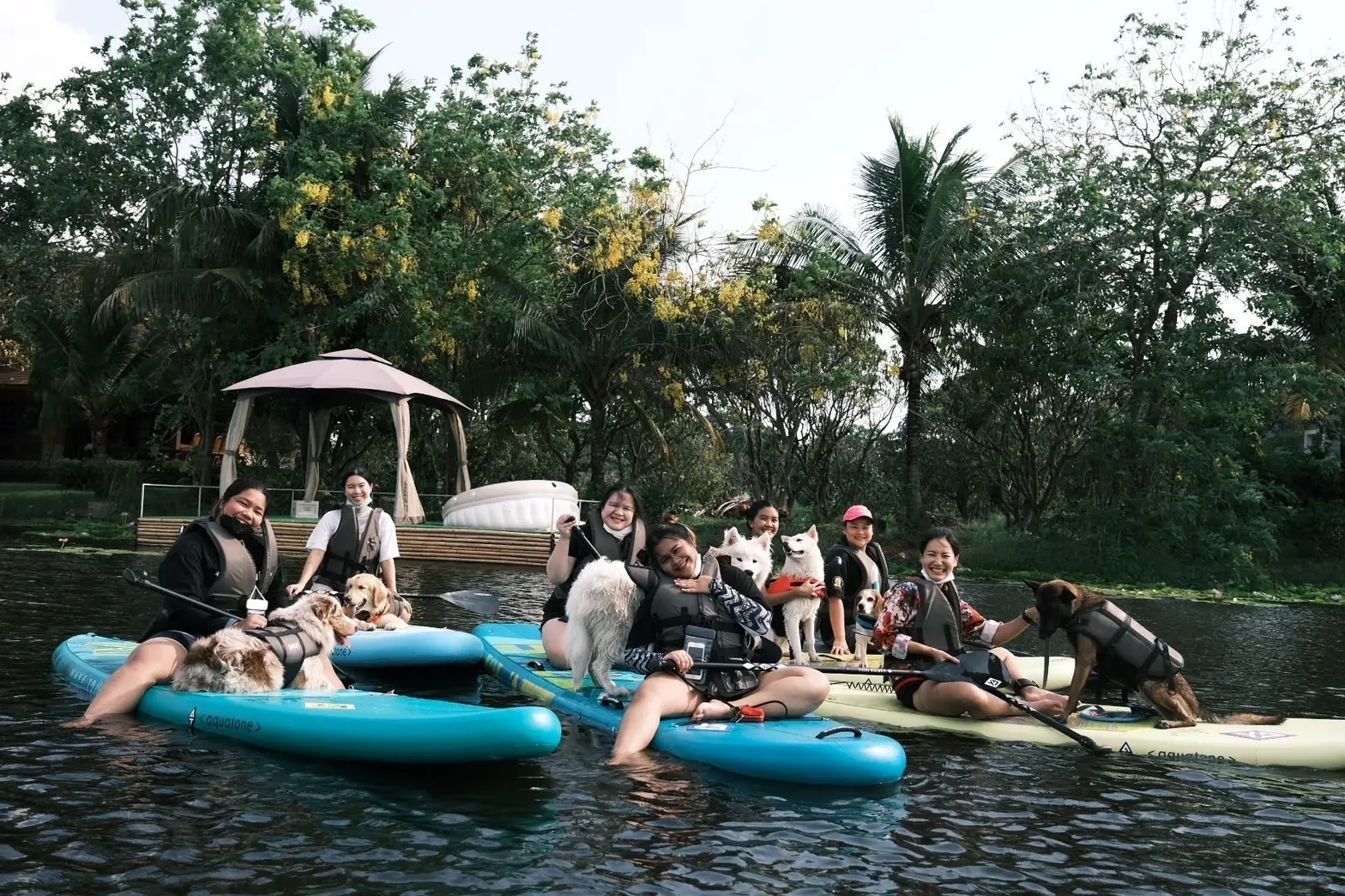 Mazecape pets image 1