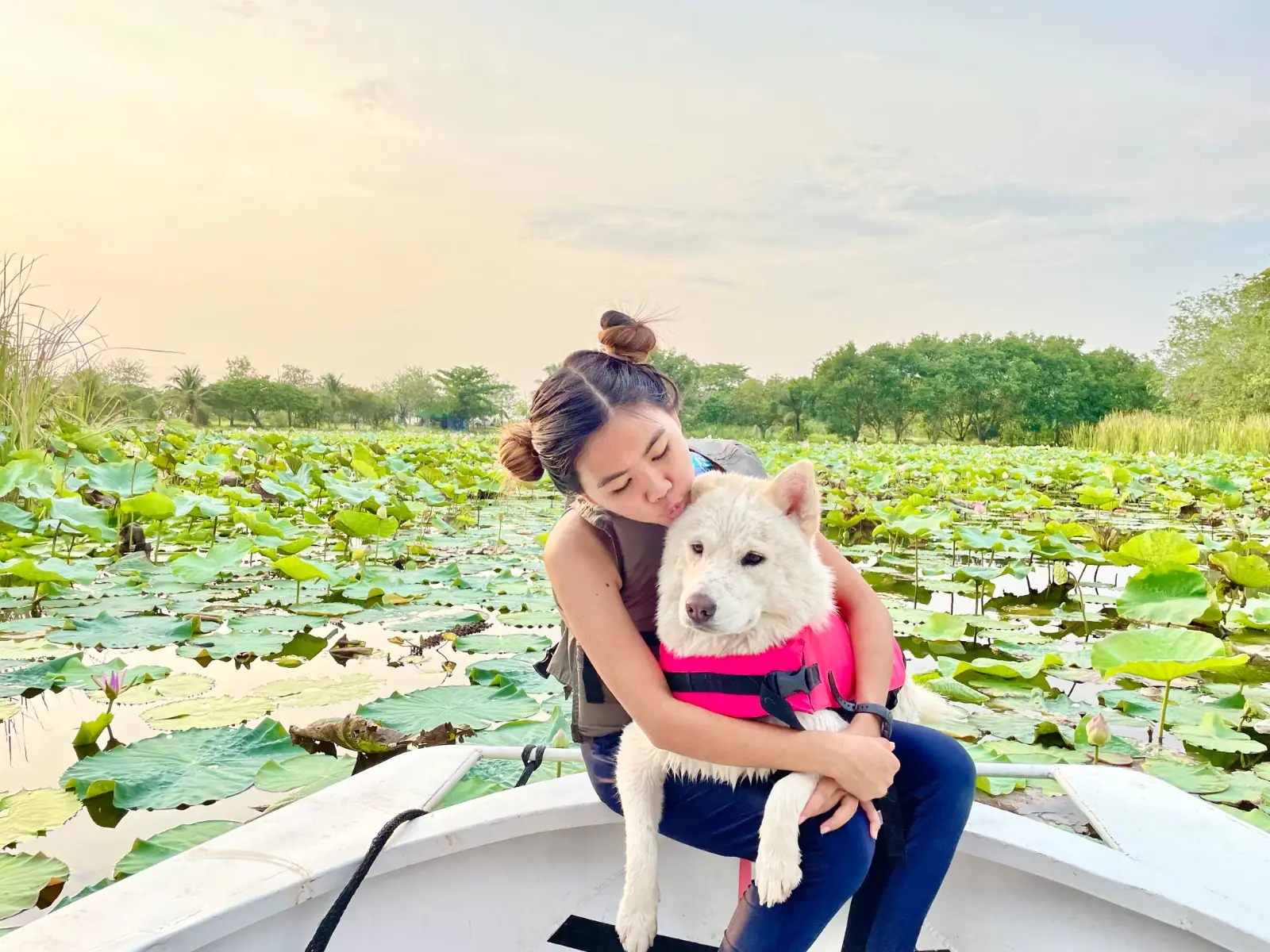 Mazecape pets image 5