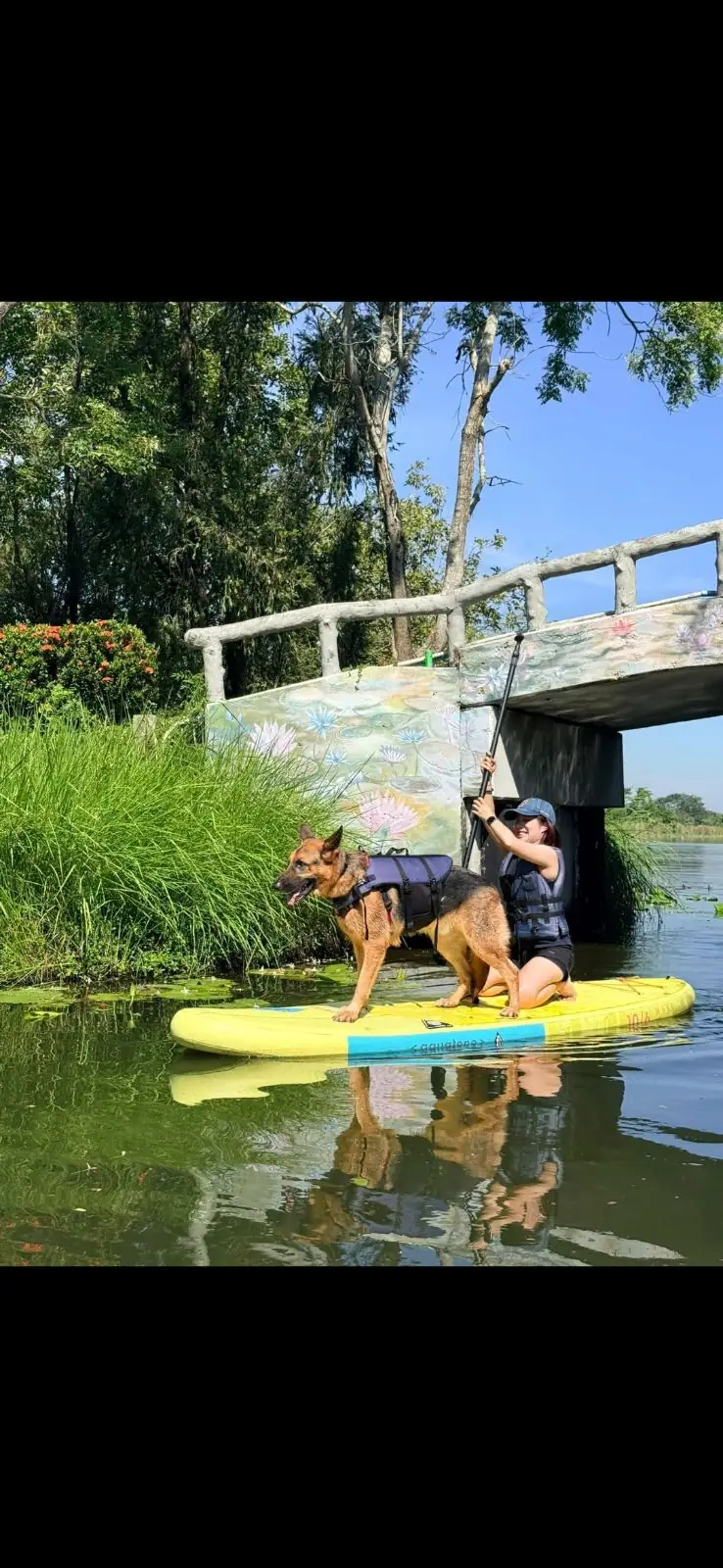 Mazecape pets image 14