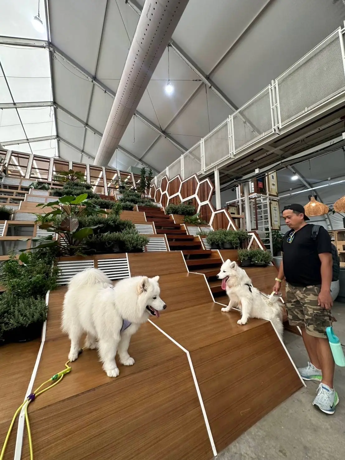 สมาการ์เด้น pets image 7