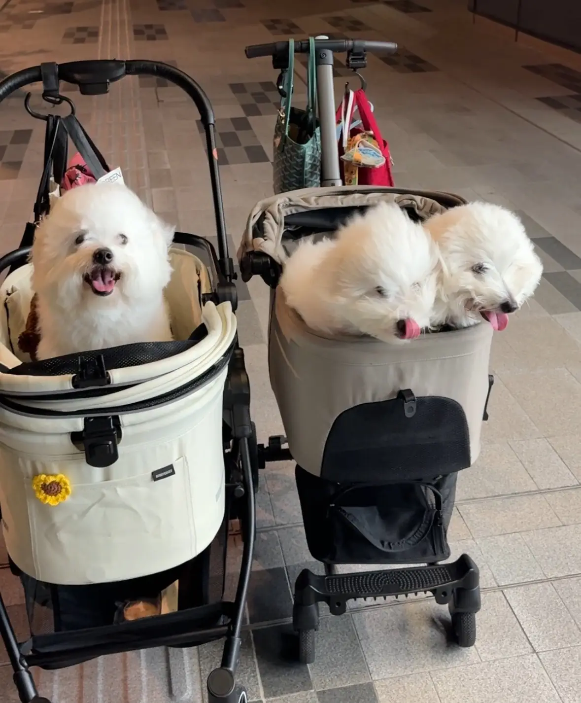 One Bangkok pets image 1
