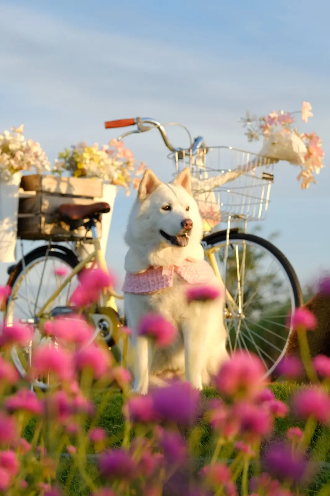 ดง เฮ้าส์ เขาใหญ่ ambiance image 1