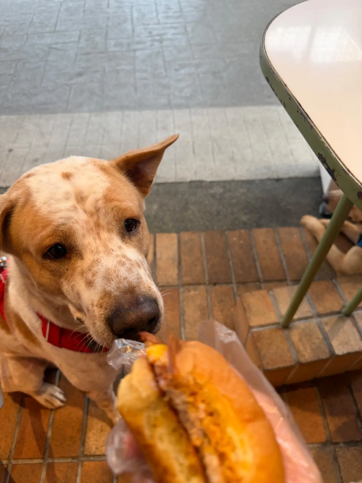 Smizzle Burger - The Circle Ratchapruk pets image 2