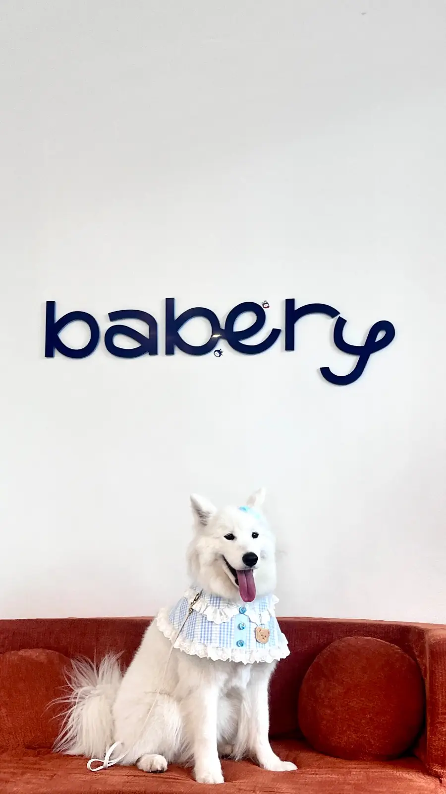 Babery pets image 1