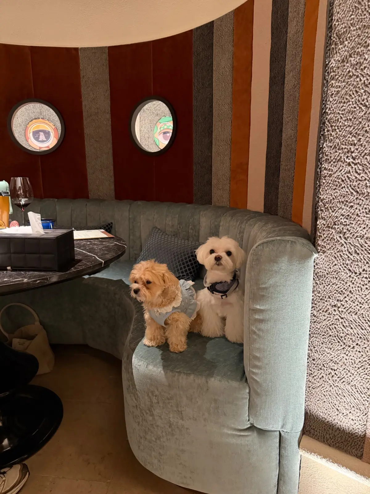 เอเลี่ยน pets image 1