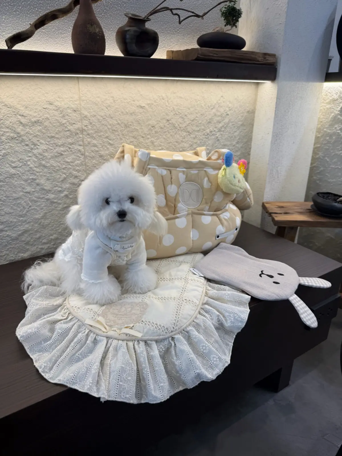 Thao Matcha pets image 2