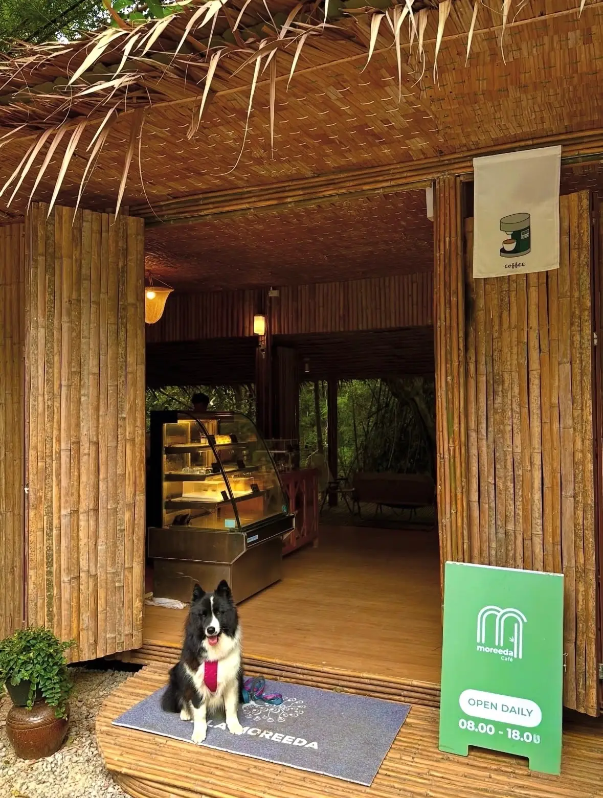Villa Moreeda pets image 3