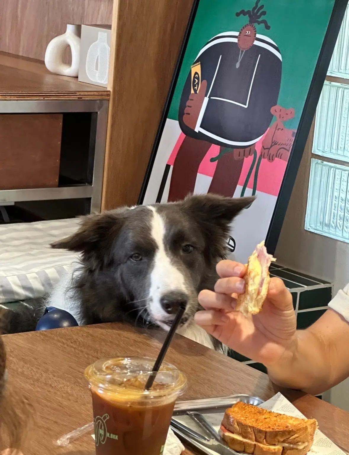 backofhouse coffee - Sukhumvit 60 pets image 1