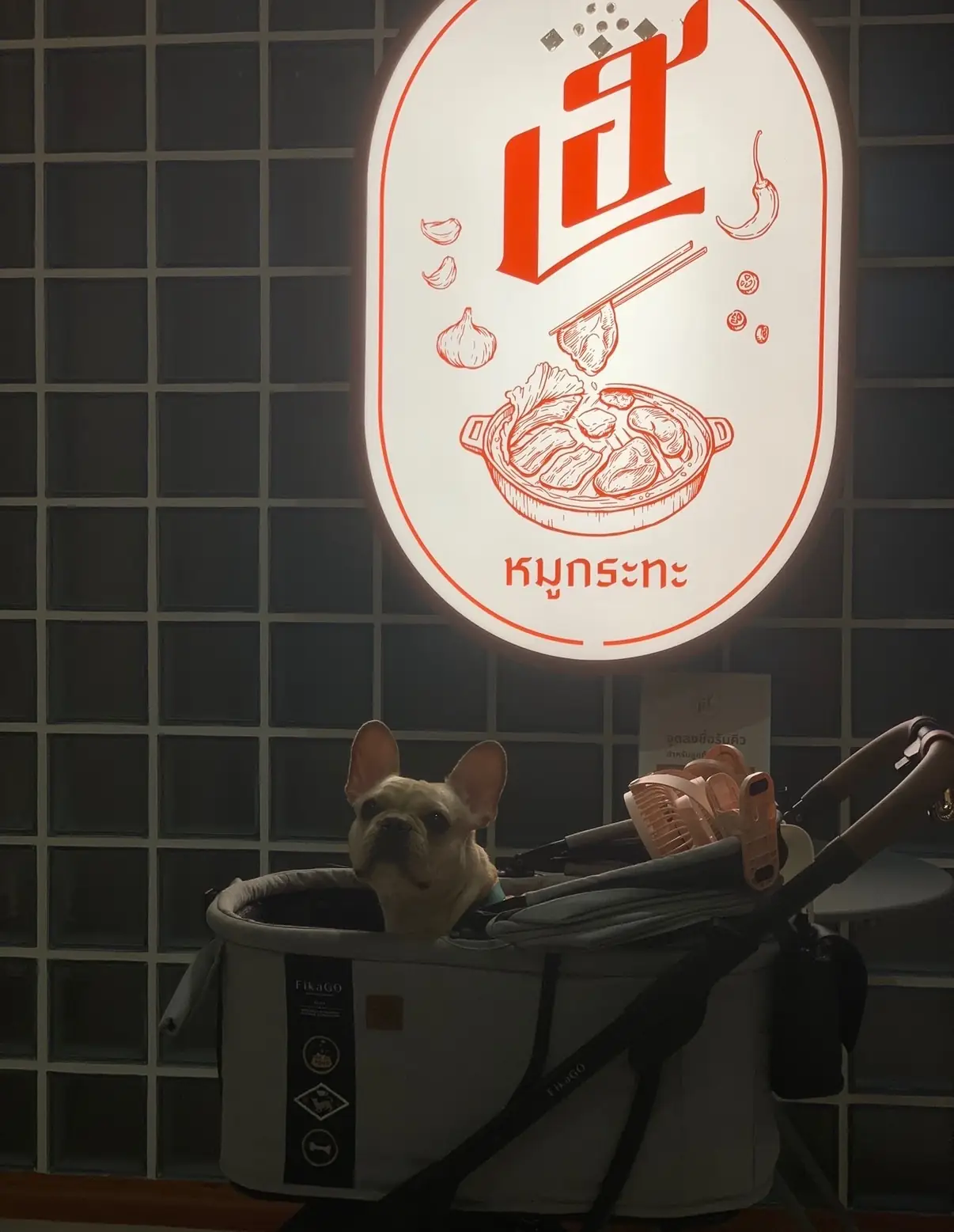 HEY Mookrata pets image 3