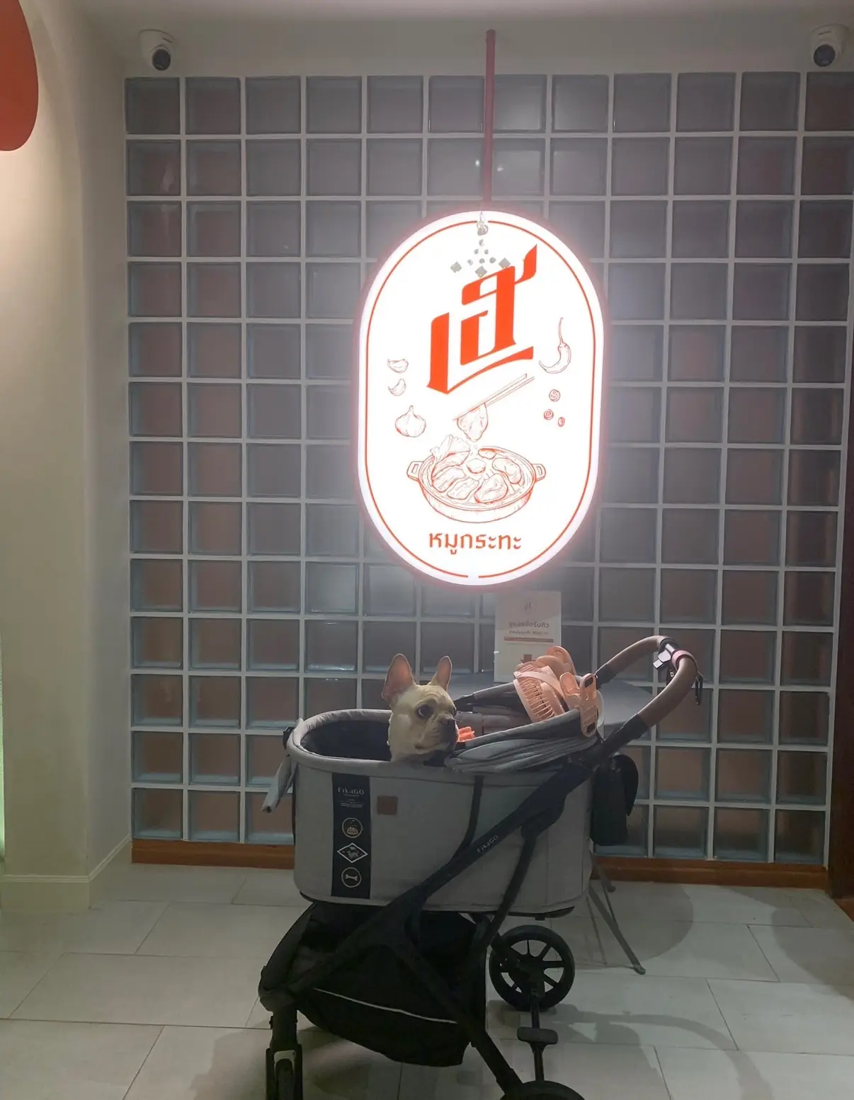 HEY Mookrata pets image 1