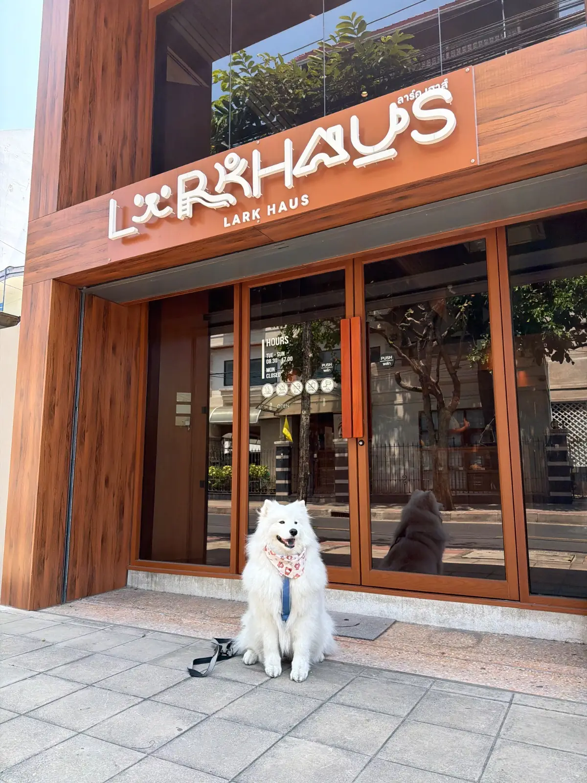 Lark Haus overall image 3