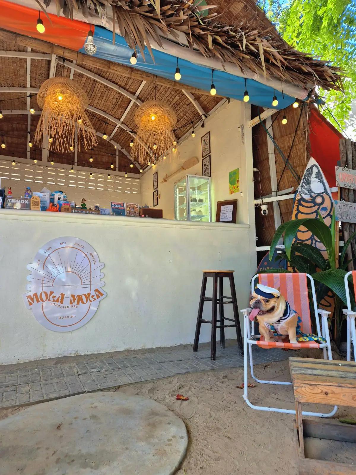 Mola mola' slowbar ambiance image 1