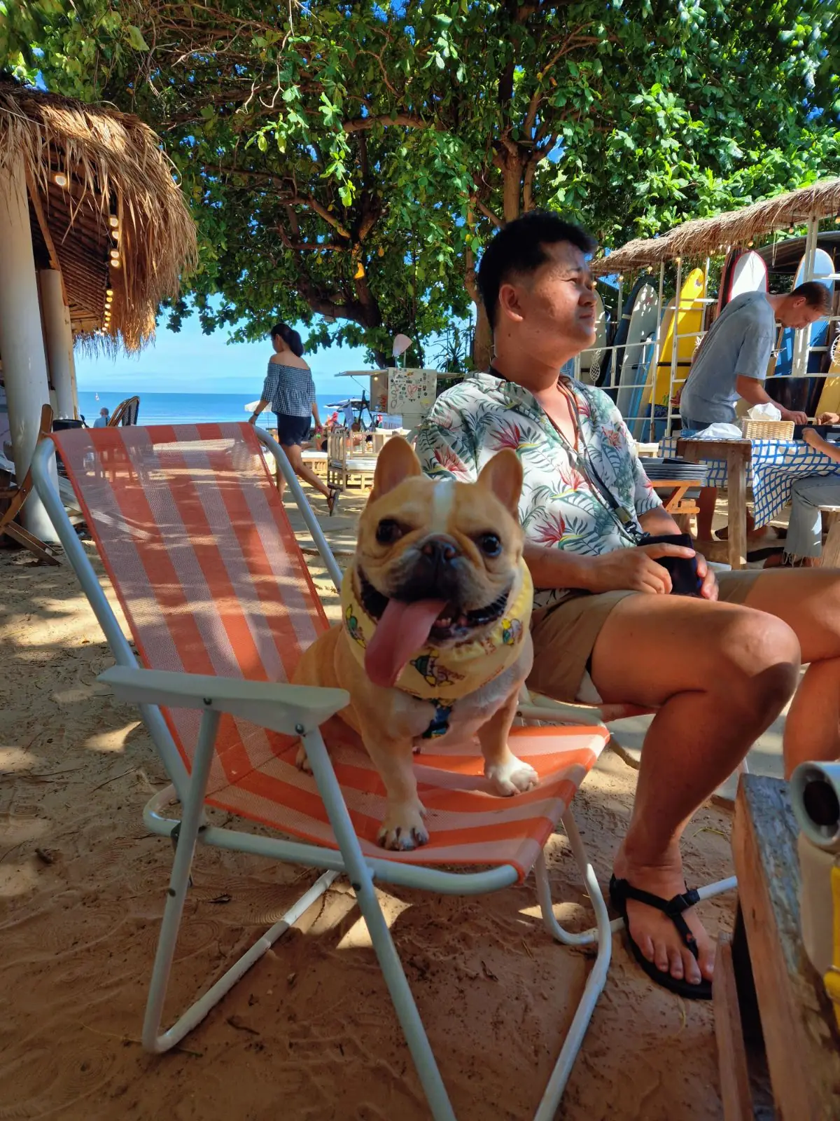 Mola mola' slowbar pets image 1