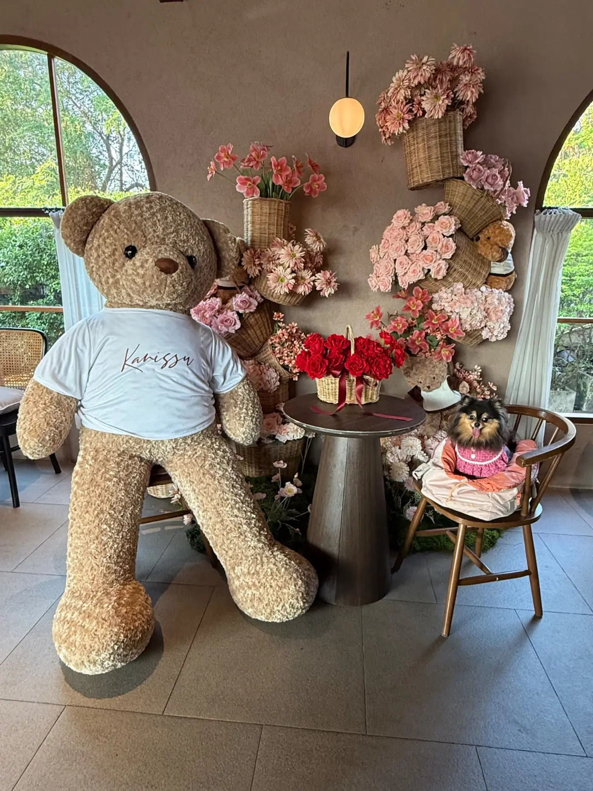 kanissu other image 3