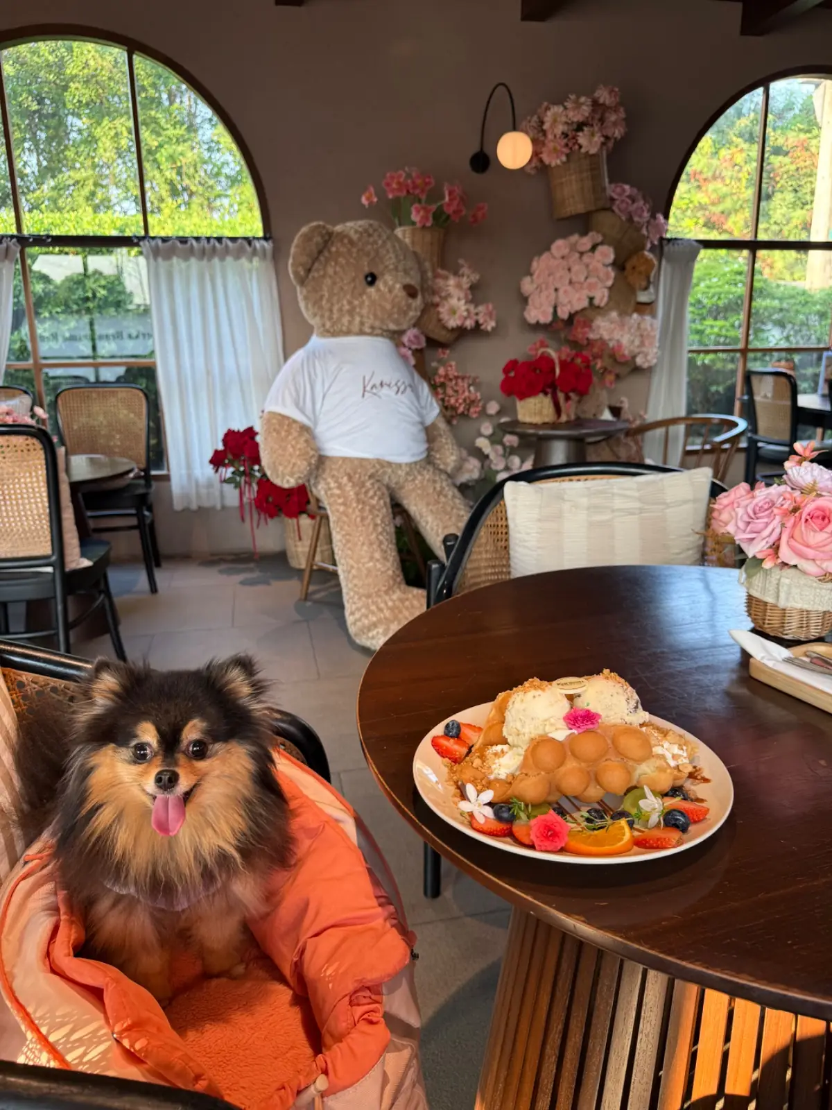 kanissu other image 6