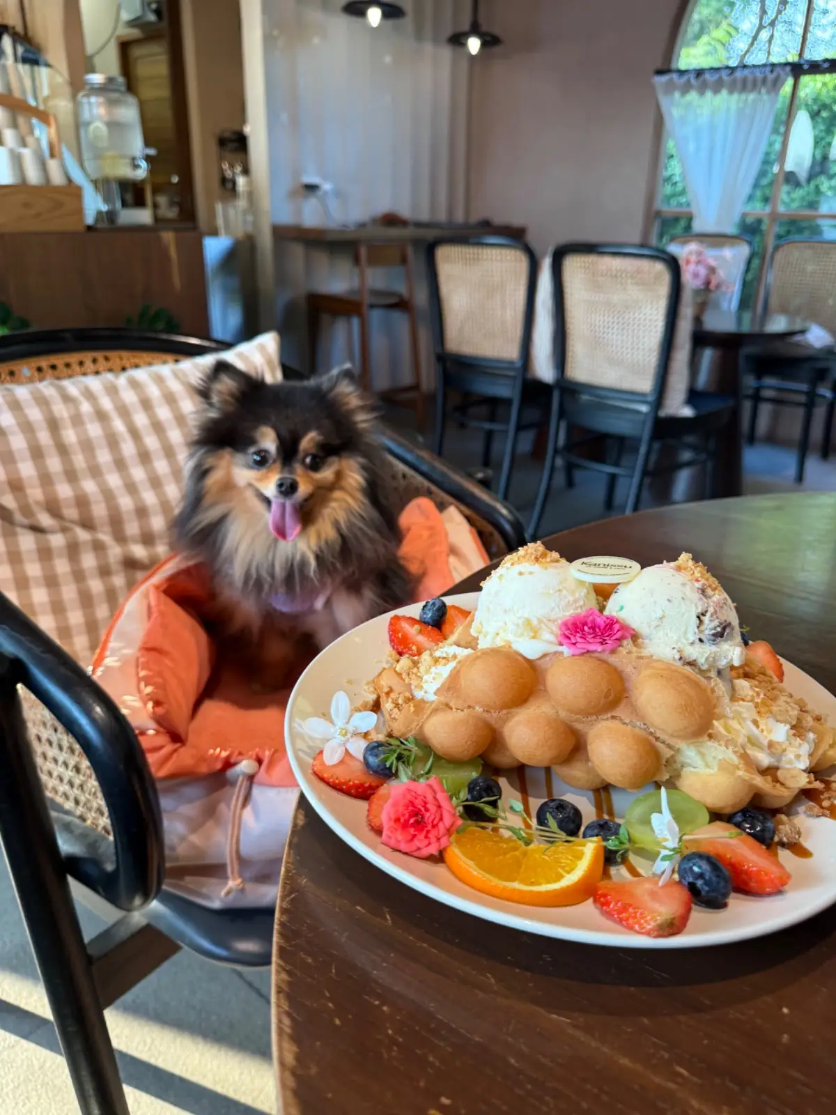 kanissu other image 5