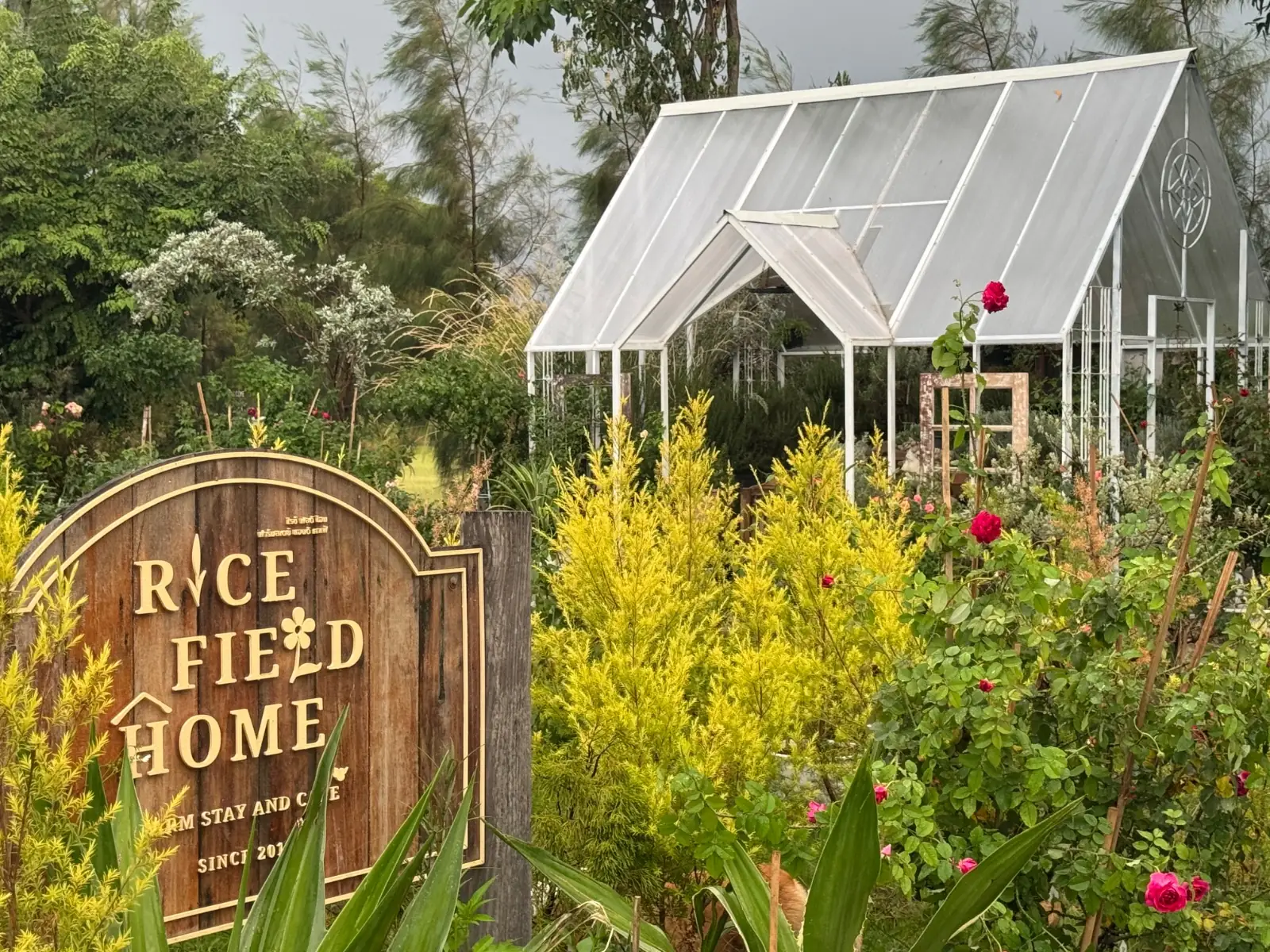 Rice Field Home Farmstay & Cafe other image 2