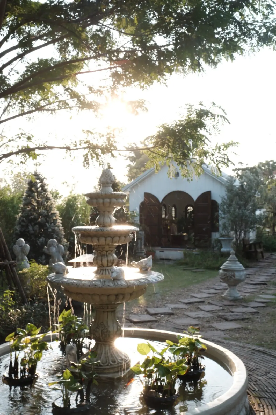 Rice Field Home Farmstay & Cafe overall image 2