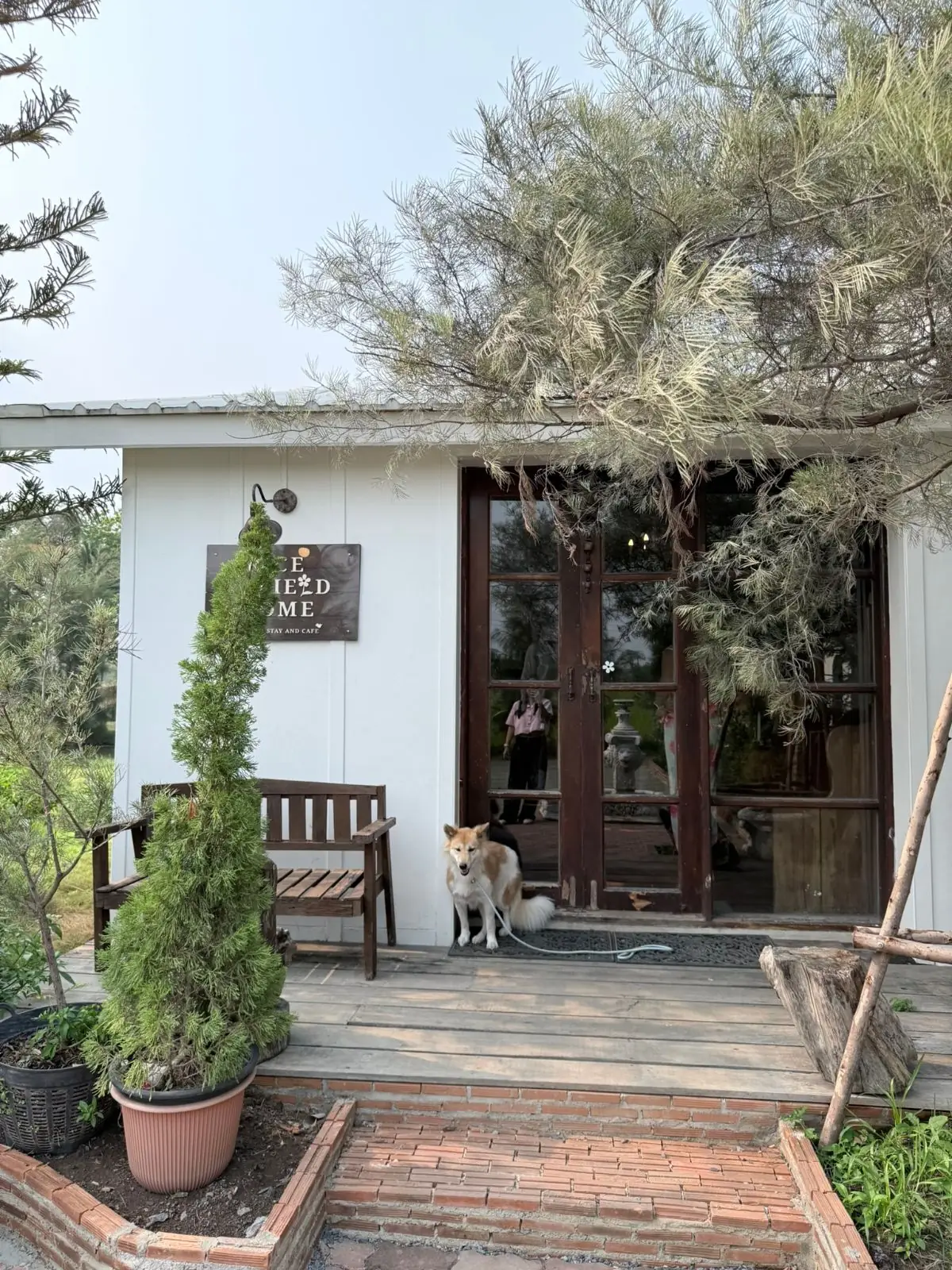 Rice Field Home Farmstay & Cafe overall image 13