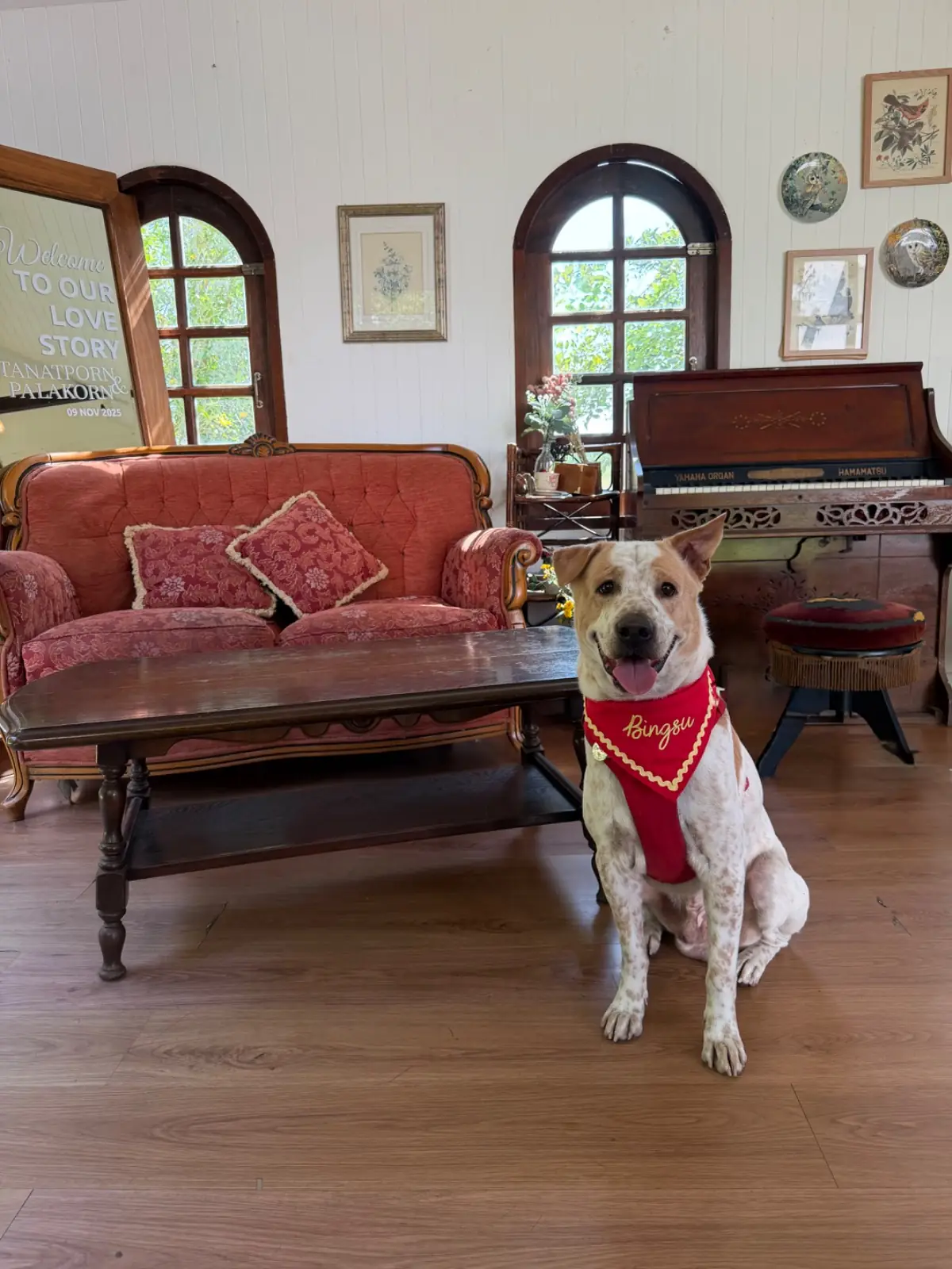 Rice Field Home Farmstay & Cafe pets image 1