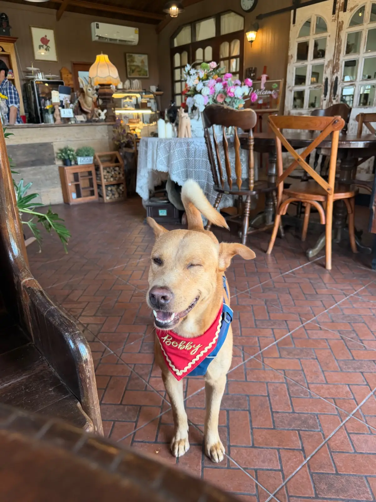 Rice Field Home Farmstay & Cafe pets image 2