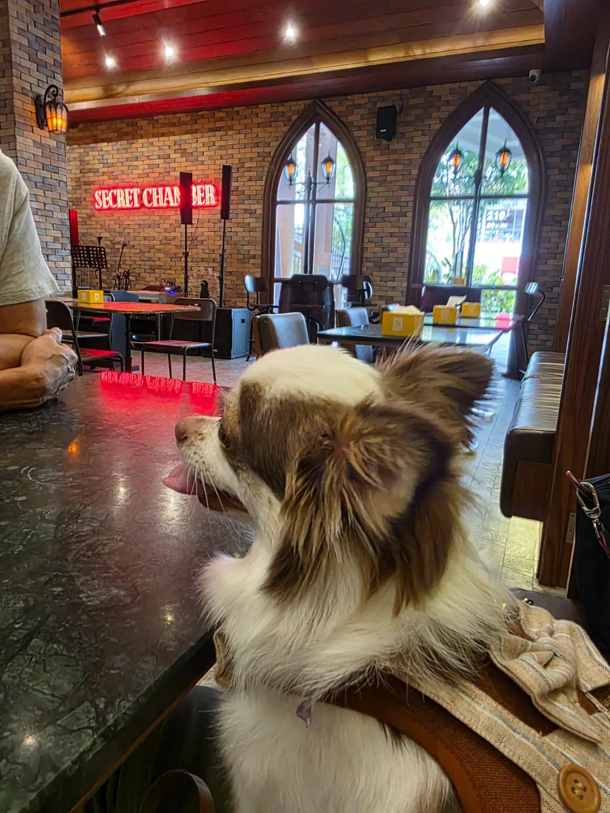 Secret Chamber other image 1