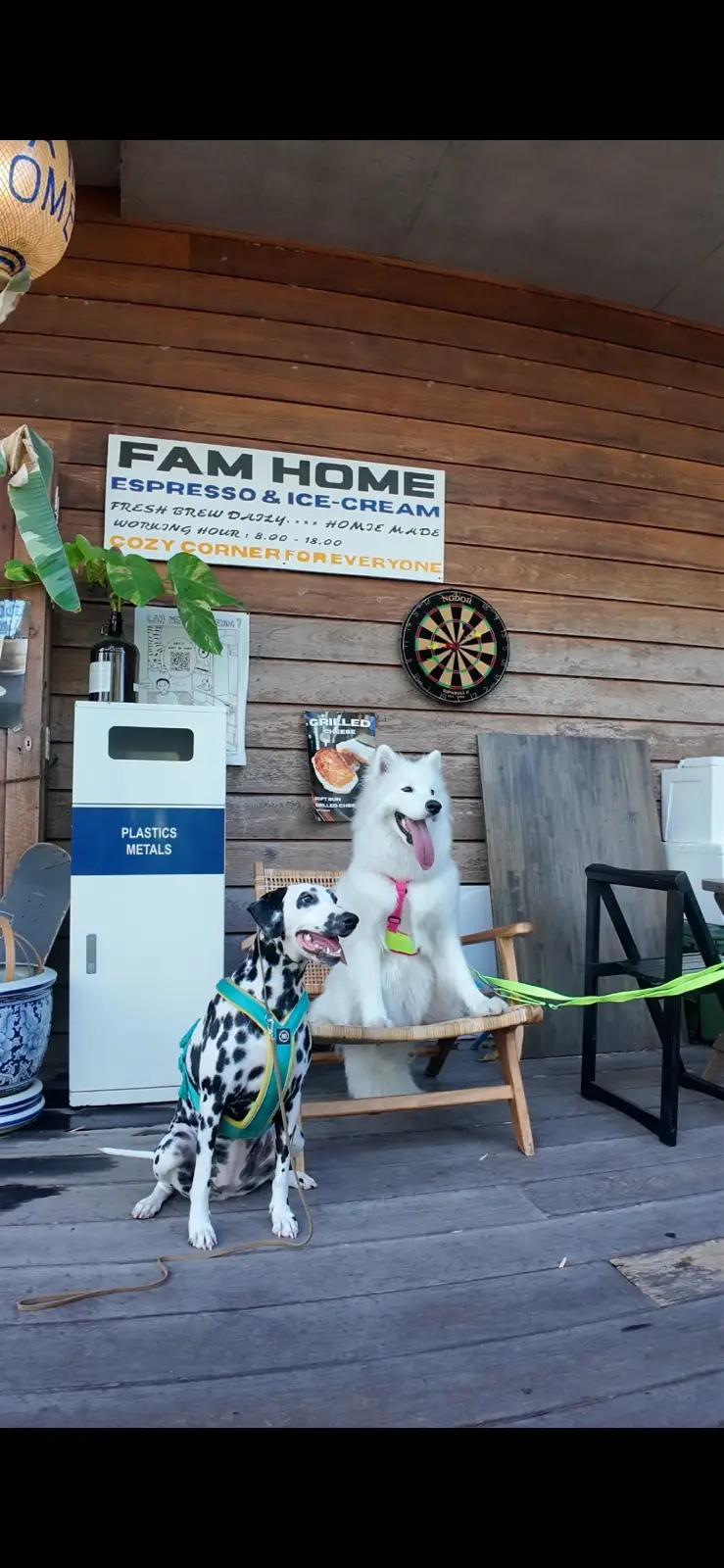 FAM HOME pets image 2