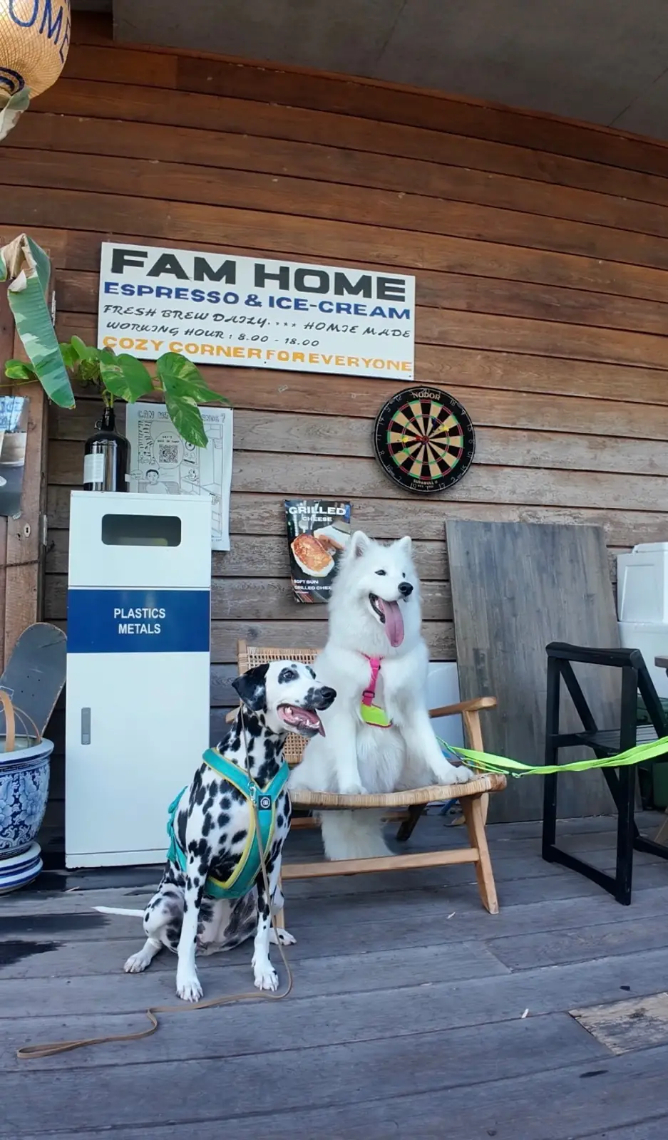 FAM HOME pets image 1