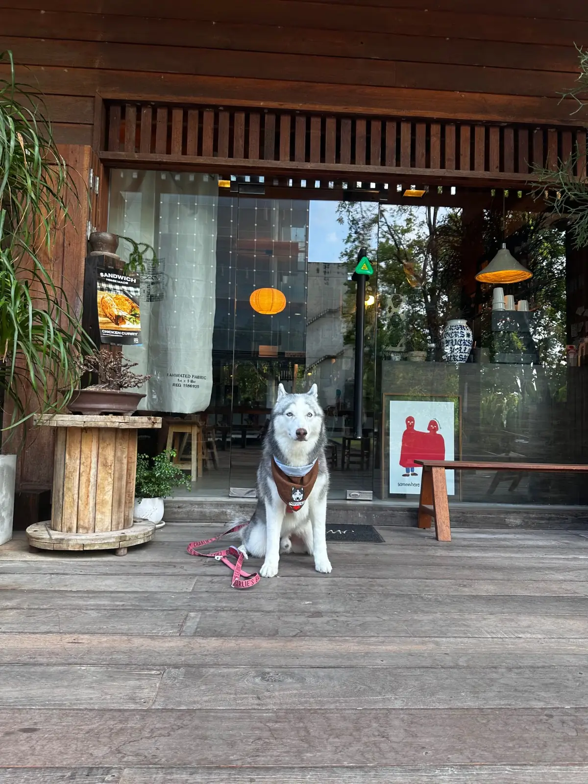 FAM HOME pets image 11