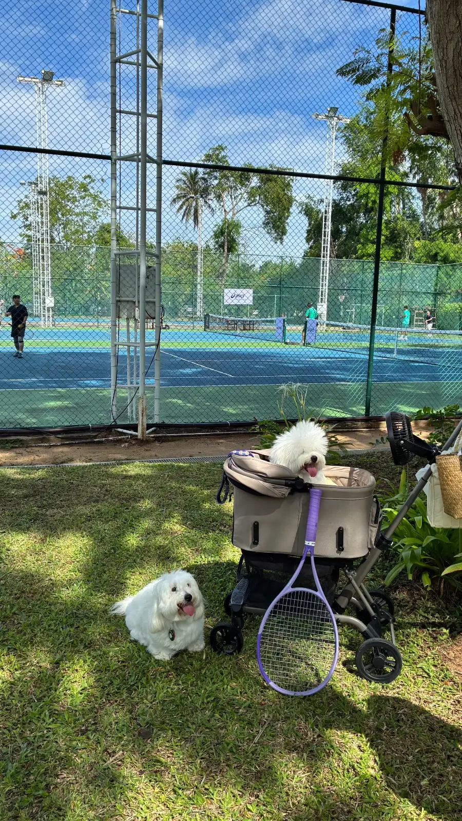 Wyndham Hua Hin Pranburi Resort & Villas pets image 1