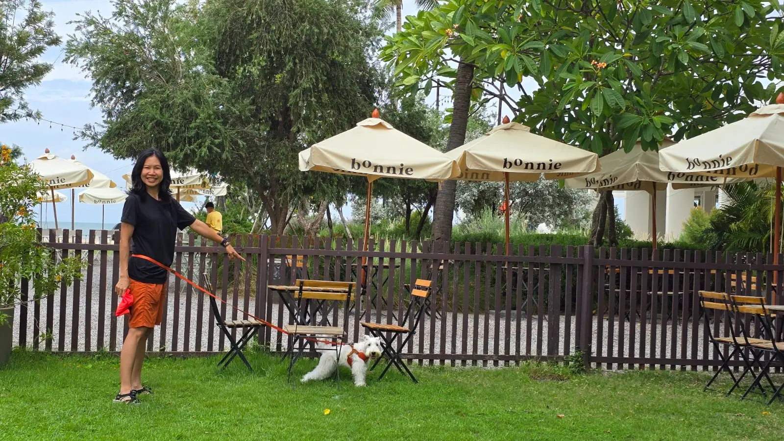 bOnnie on the beach pets image 3