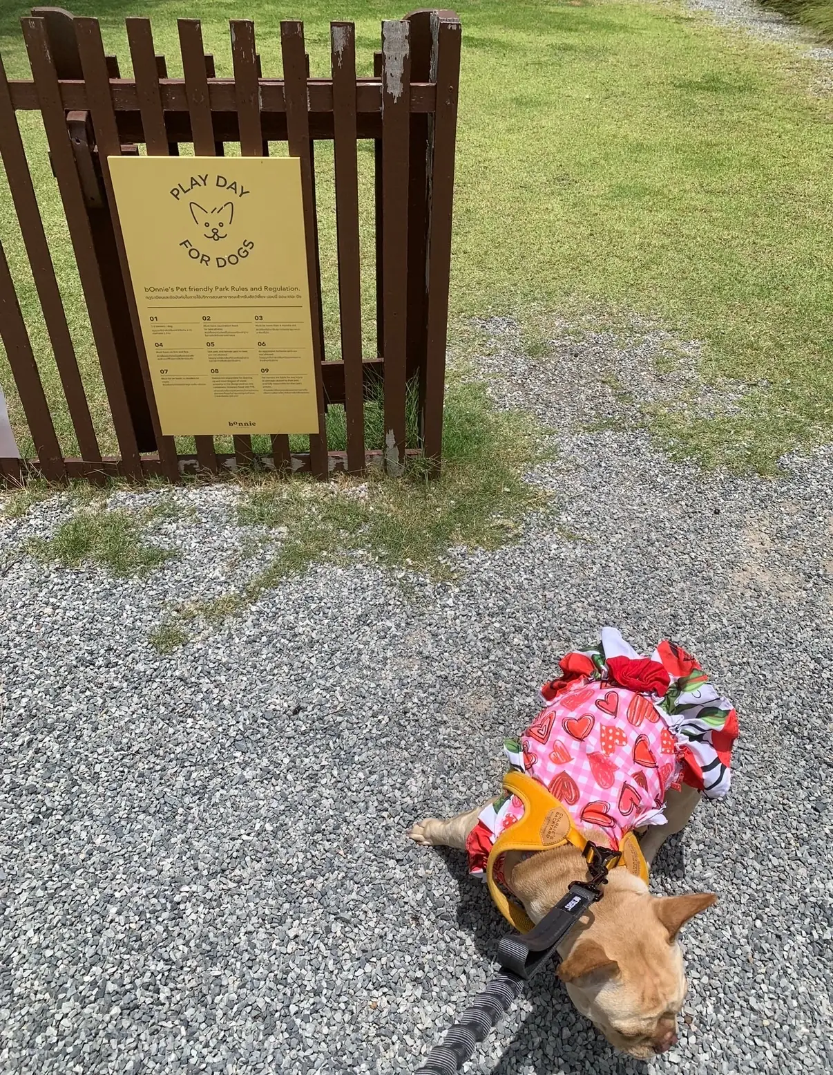 bOnnie on the beach other image 2