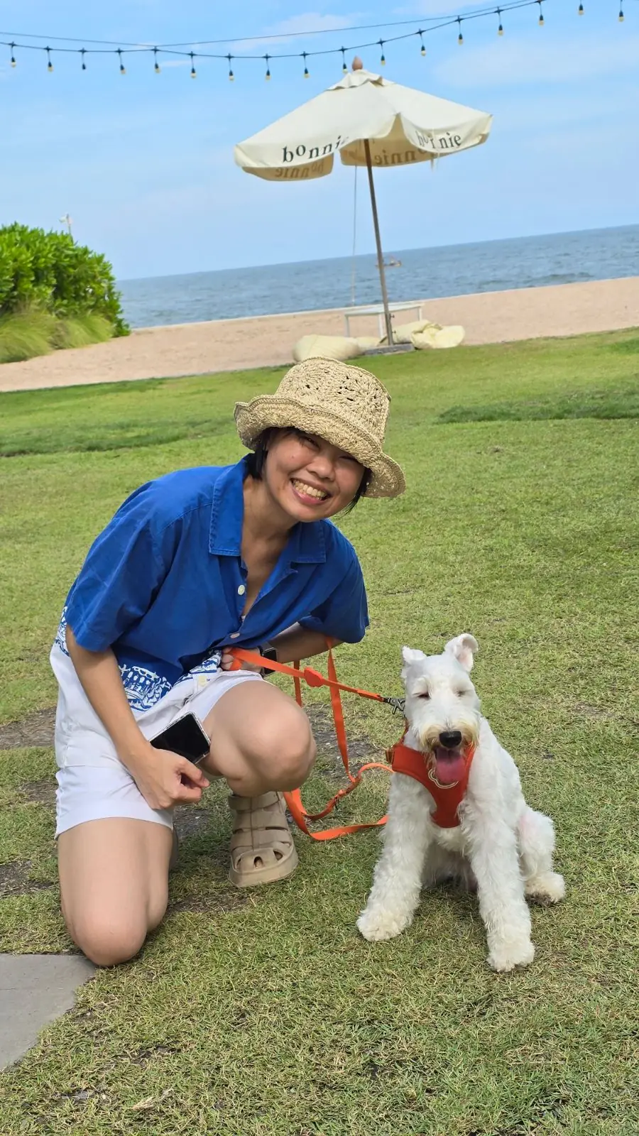 bOnnie on the beach pets image 1