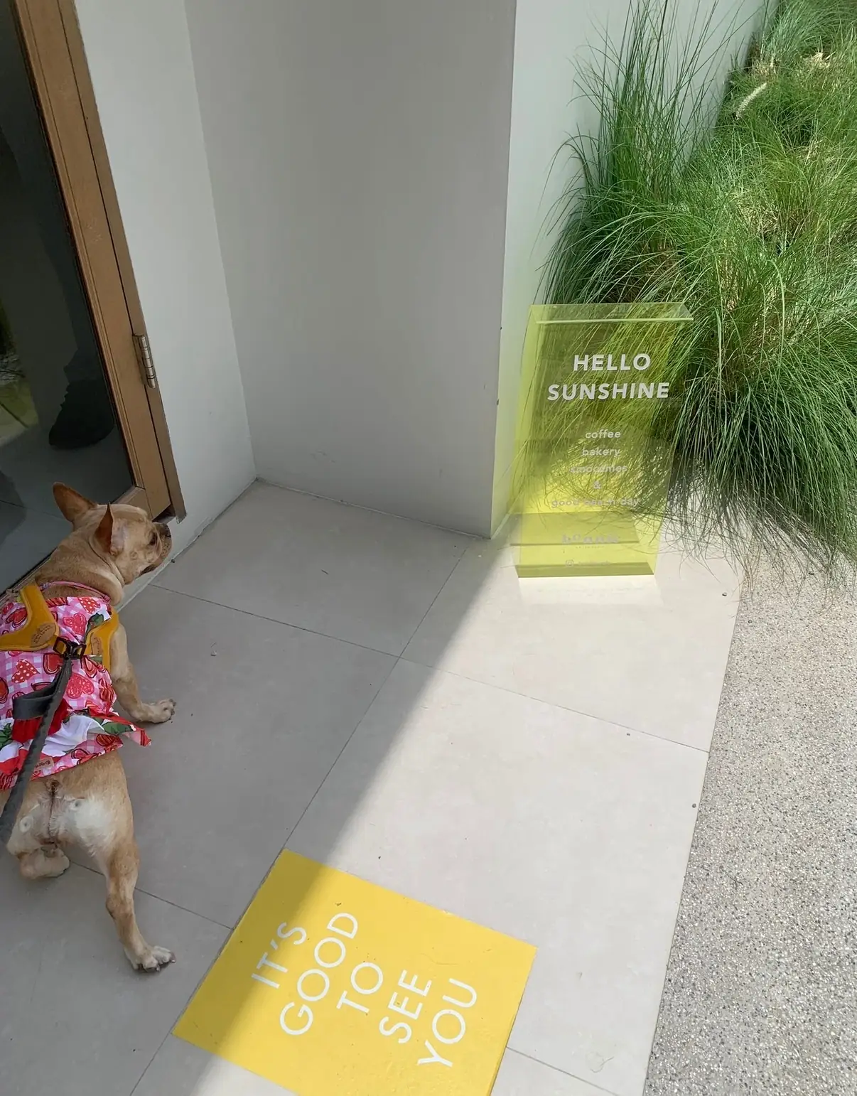 bOnnie on the beach other image 1