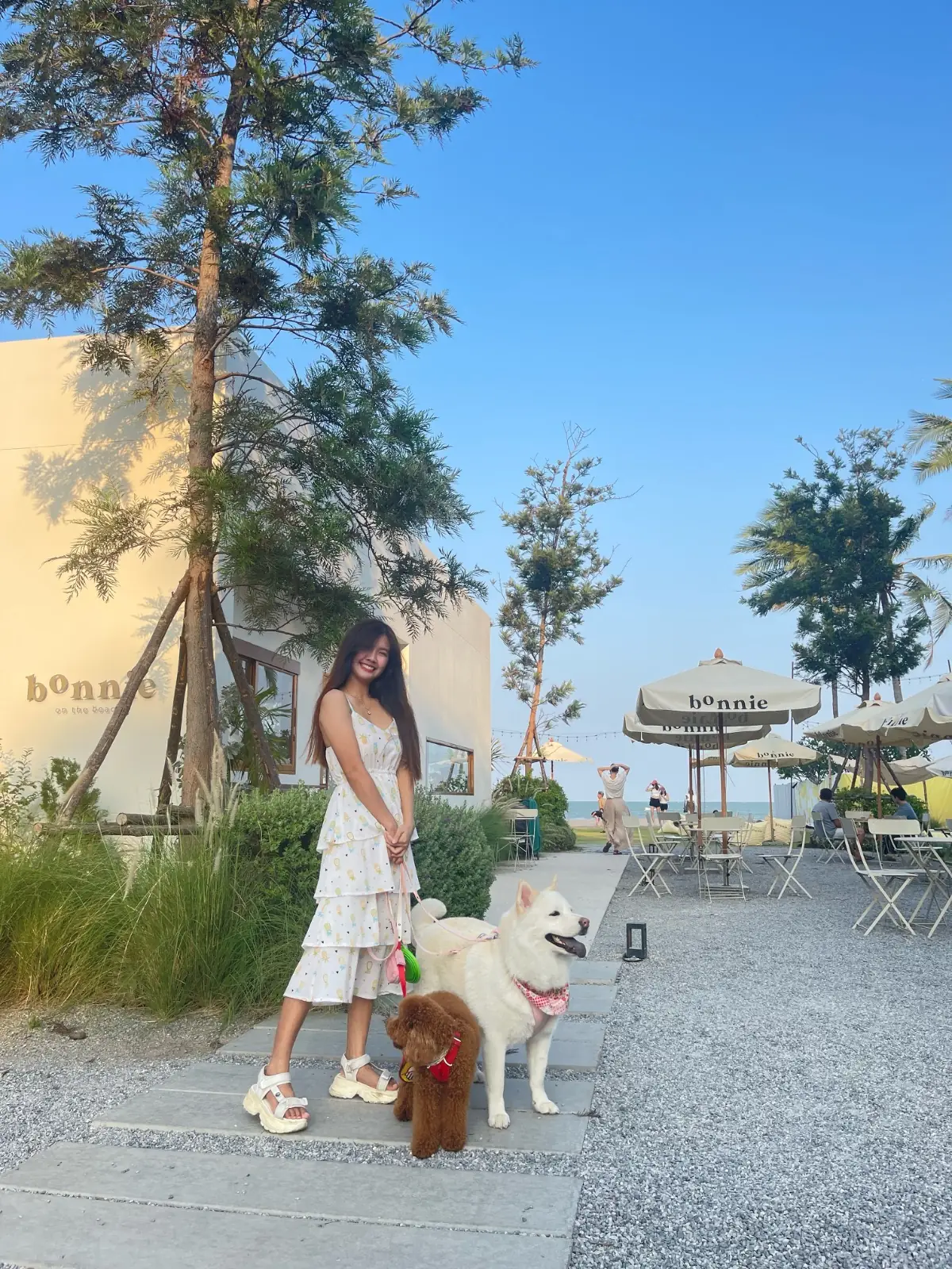 Bonnie on the Beach overall image 3