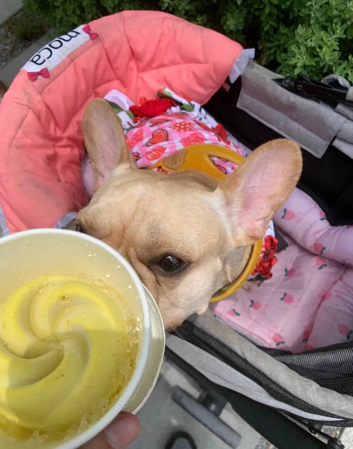 bOnnie on the beach other image 4