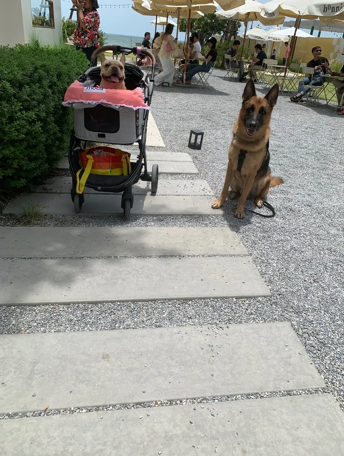bOnnie on the beach other image 3