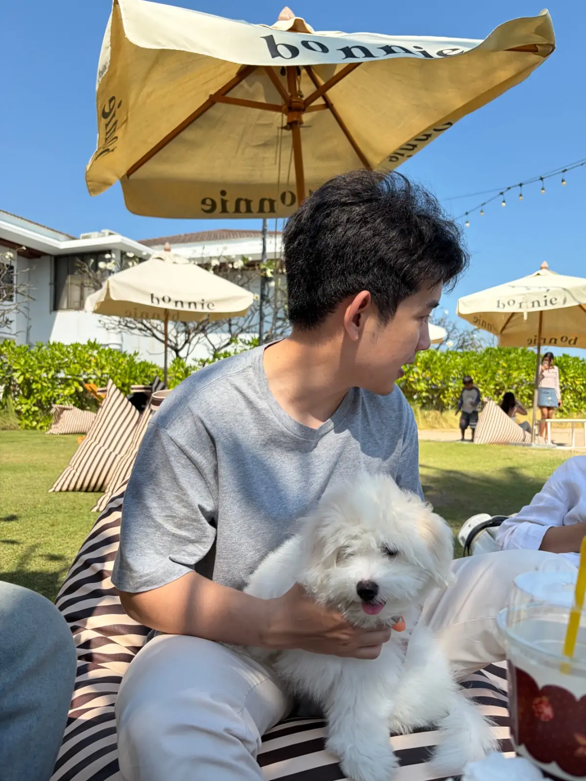 Bonnie on the Beach pets image 7