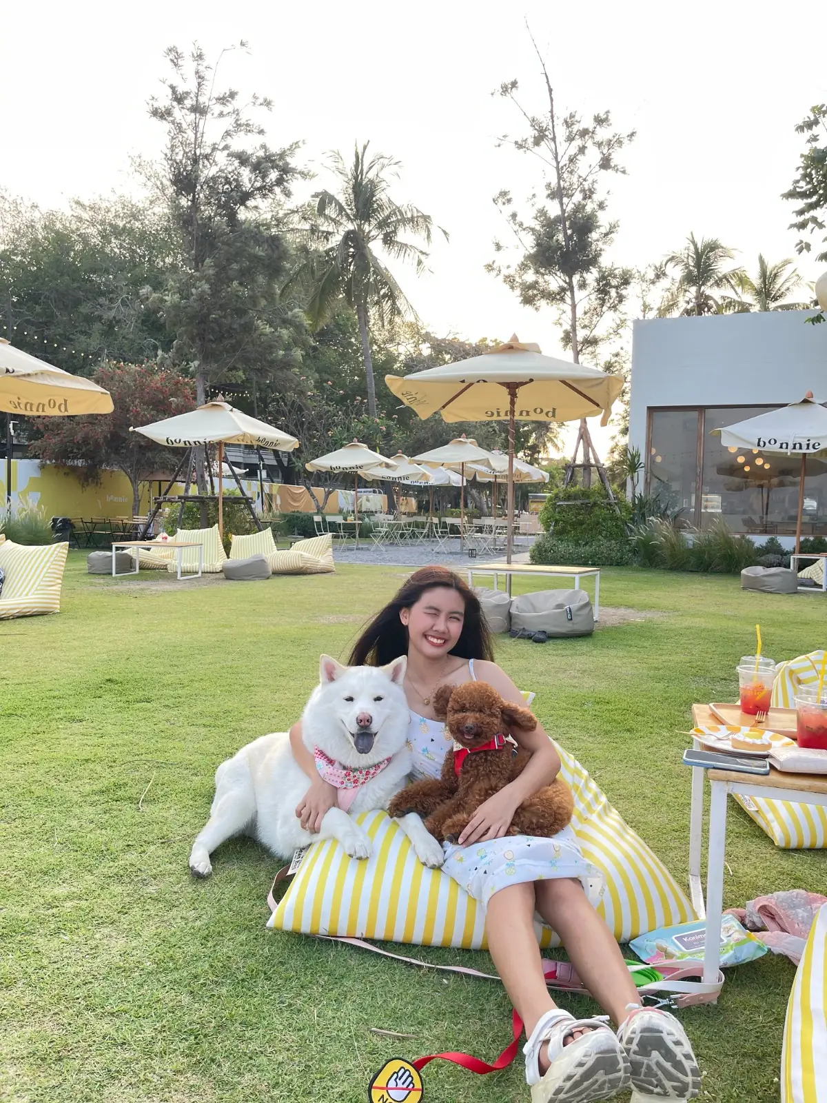 Bonnie on the Beach pets image 9