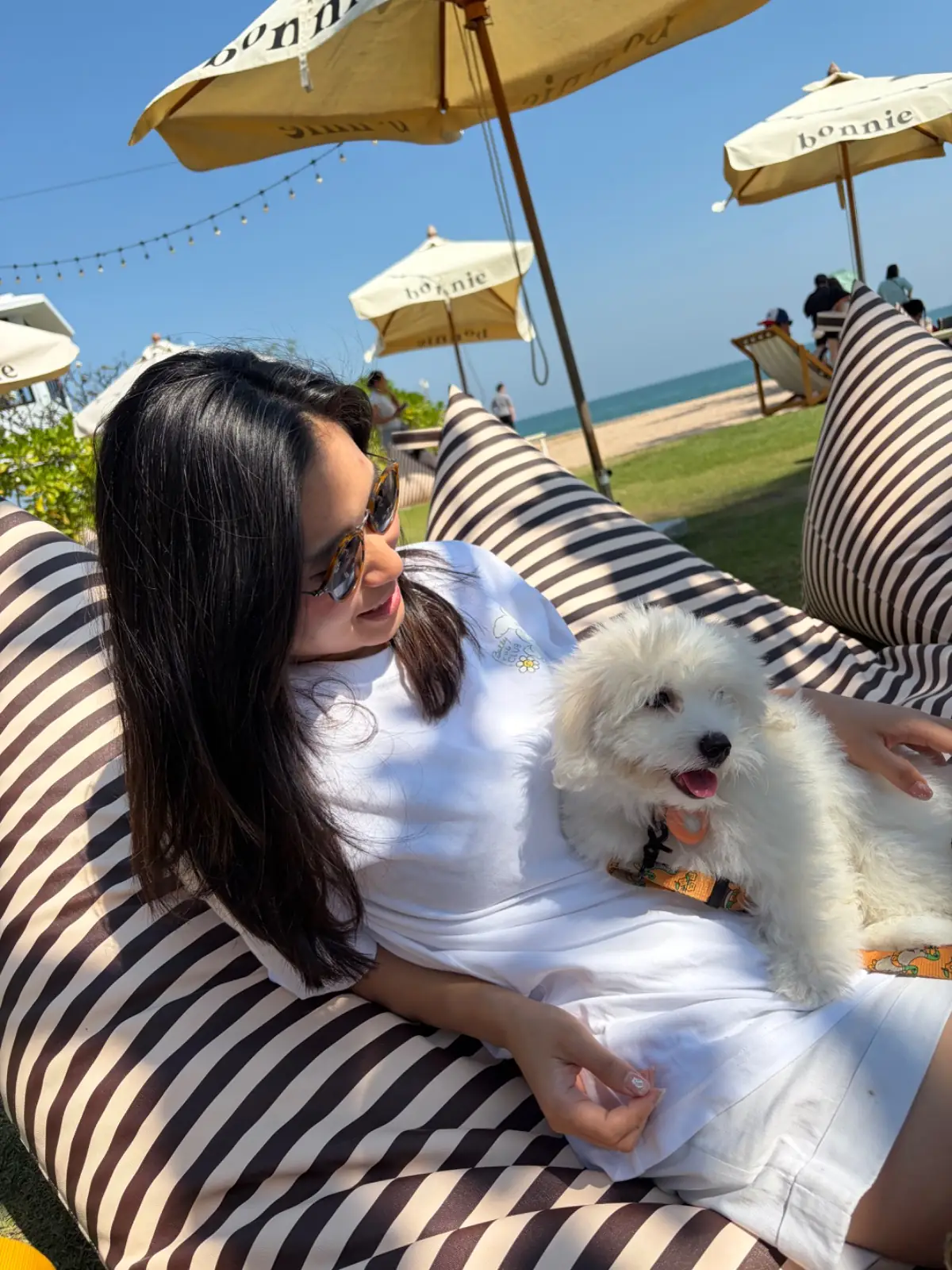 Bonnie on the Beach pets image 8