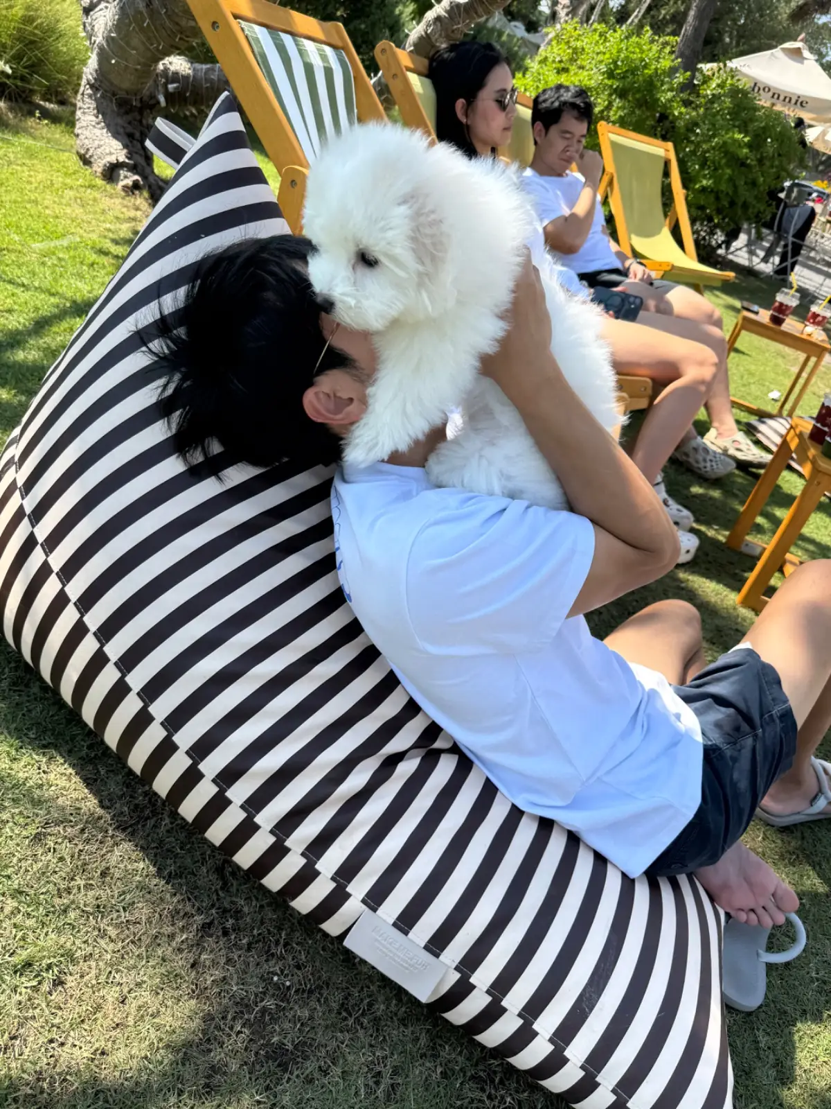 Bonnie on the Beach pets image 10