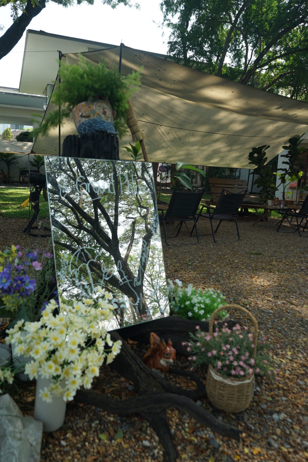 Ground Phlox ambiance image 2