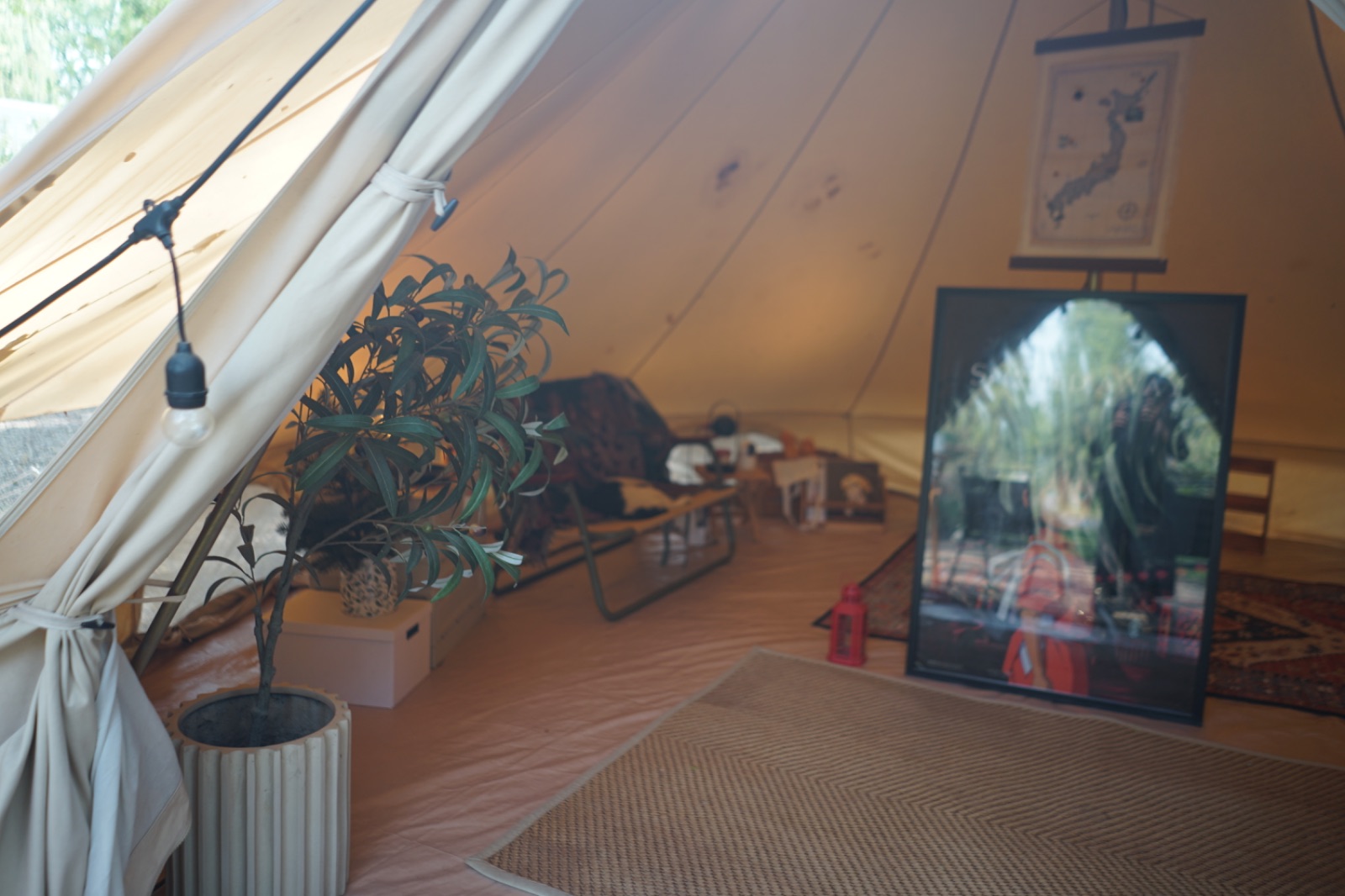 Ground Phlox ambiance image 14