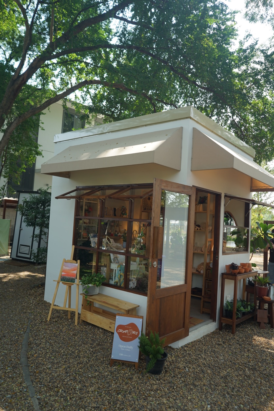 Ground Phlox hero image 2