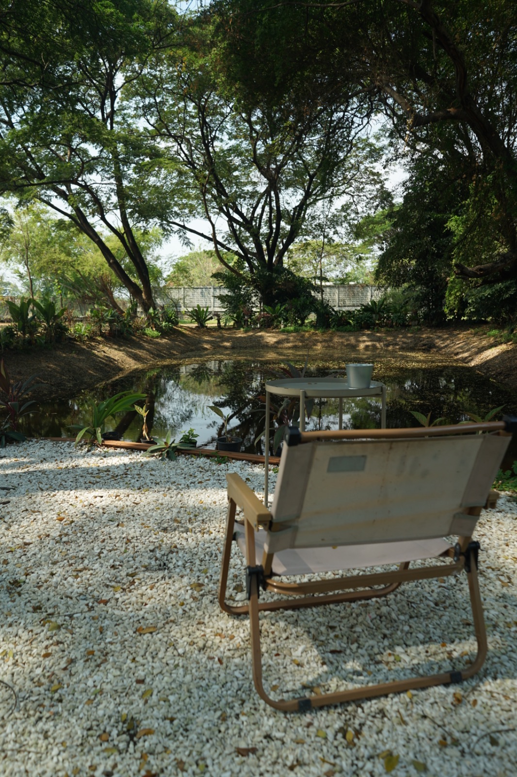 Ground Phlox ambiance image 8