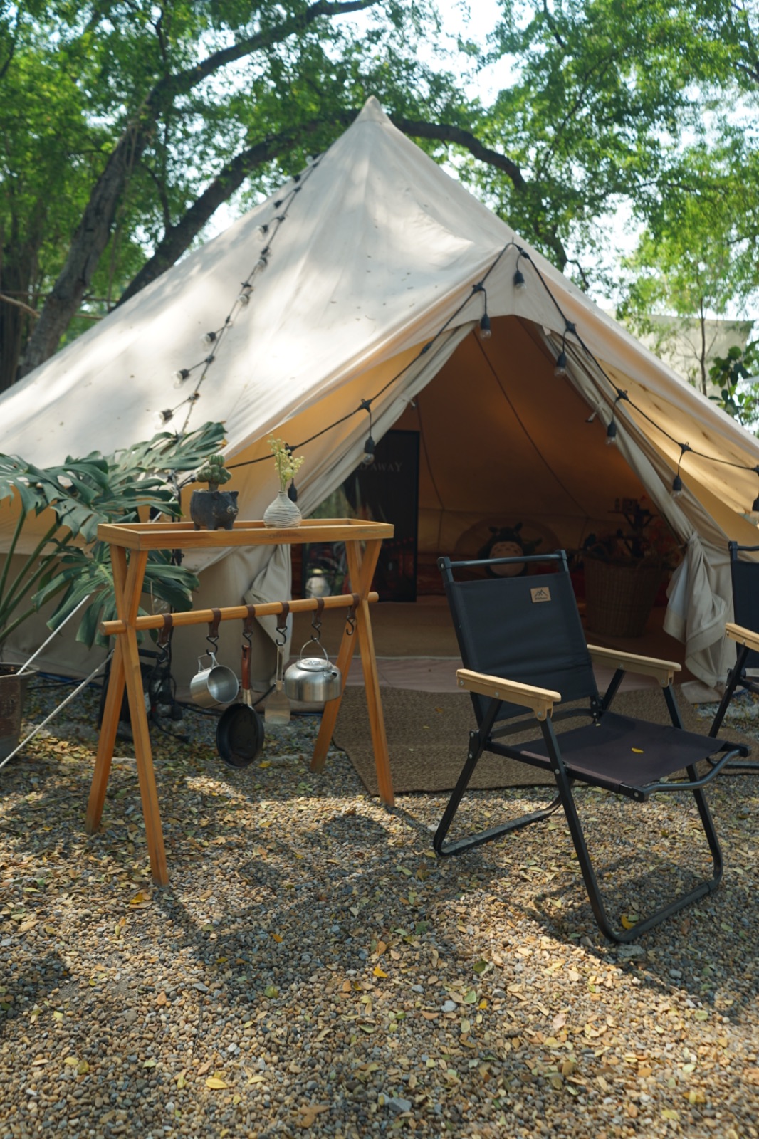 Ground Phlox ambiance image 11