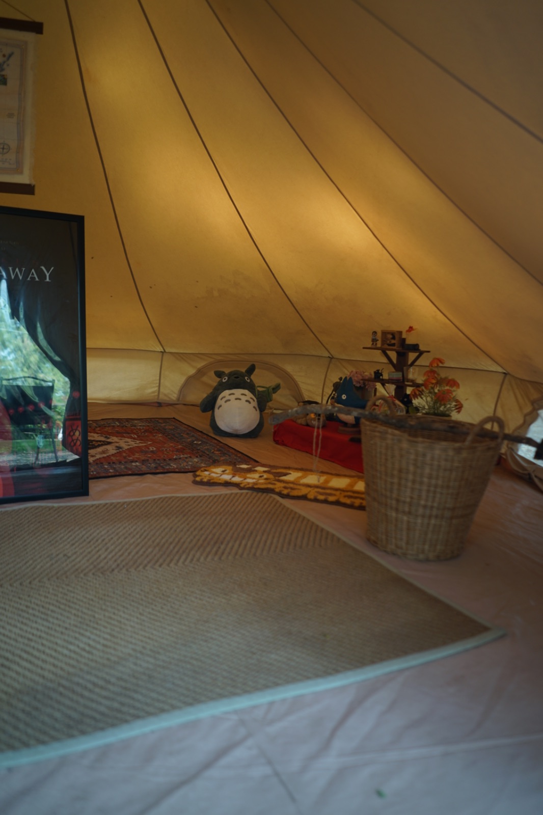 Ground Phlox ambiance image 15