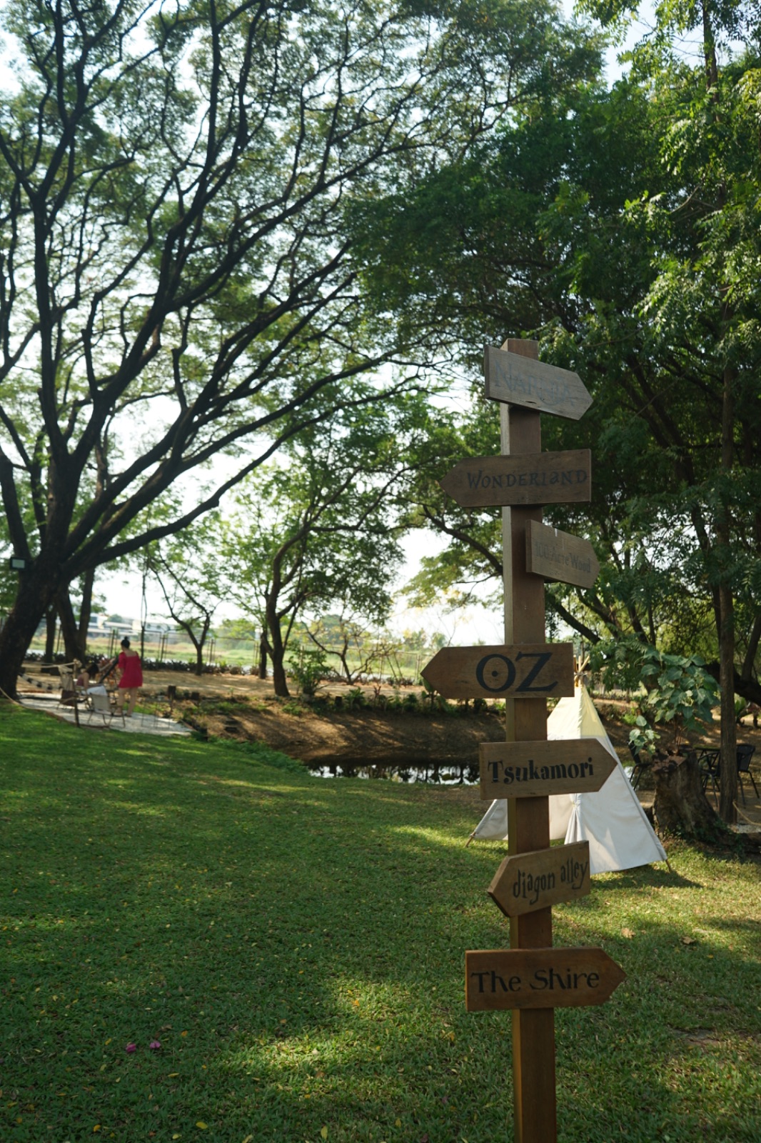 Ground Phlox ambiance image 10