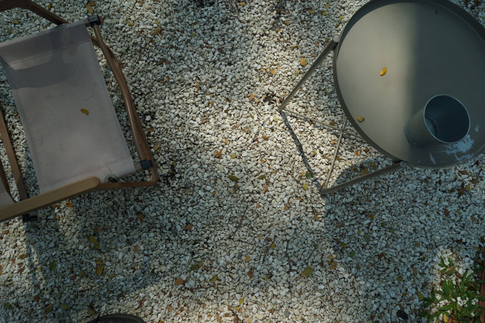 Ground Phlox hero image 6